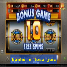 banho e tosa juiz de fora